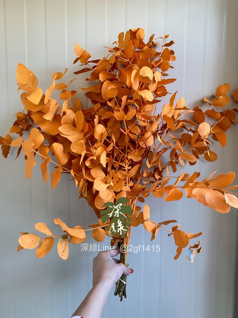 image_560E8FC5-4522-4120-90BA-27ABC54245A6_1764568174