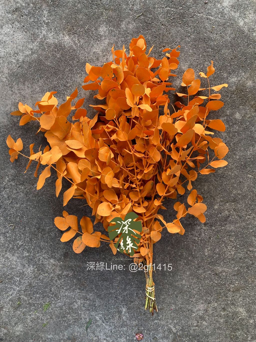 image_2DEC07FD-F530-4891-8D3F-8A78C1E95A90_1764568174