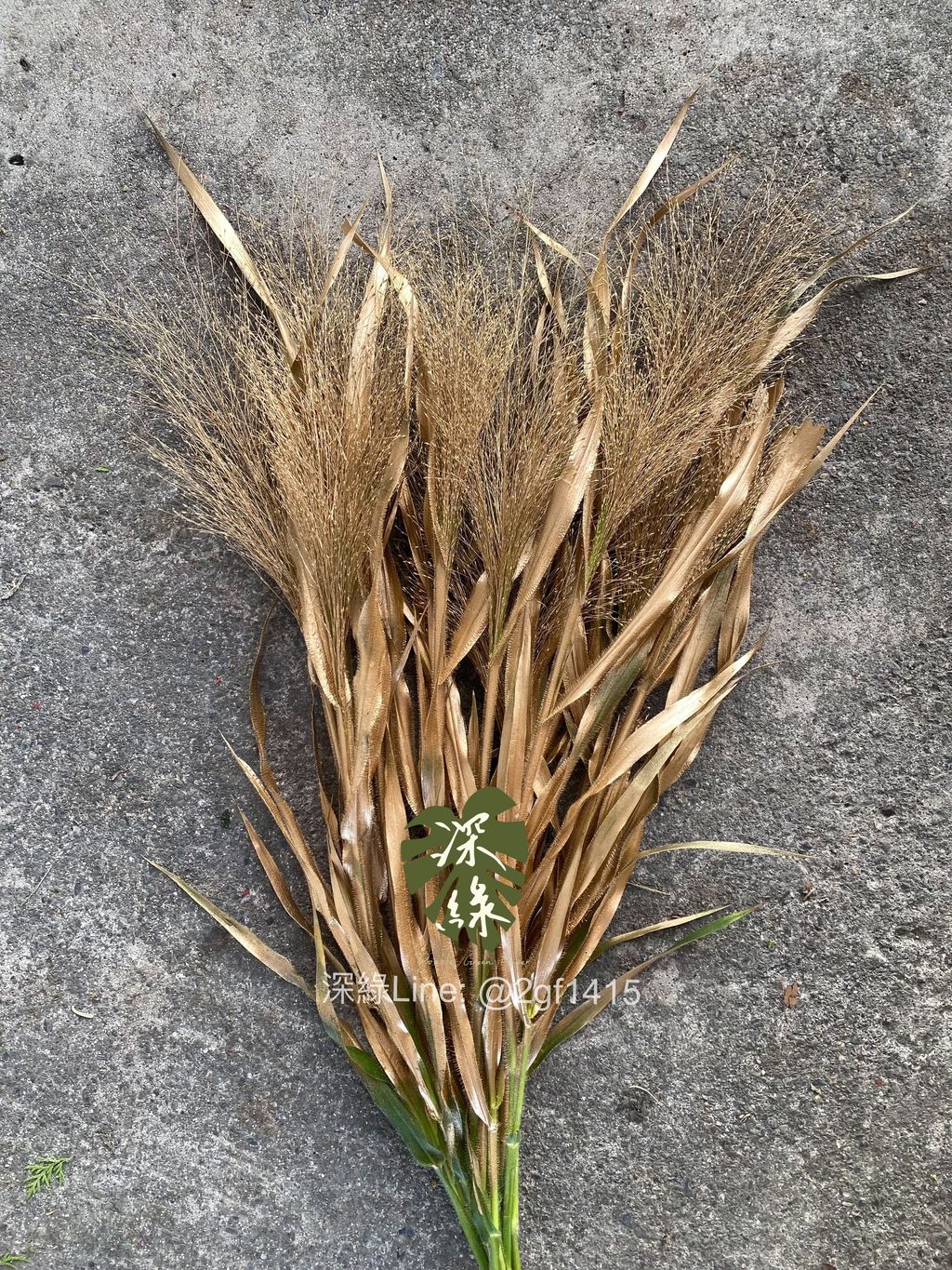 image_BC834B2A-31F3-4B8E-BA9C-0990D24BC4E5_1764568398