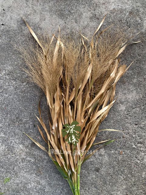 image_BC834B2A-31F3-4B8E-BA9C-0990D24BC4E5_1764568398