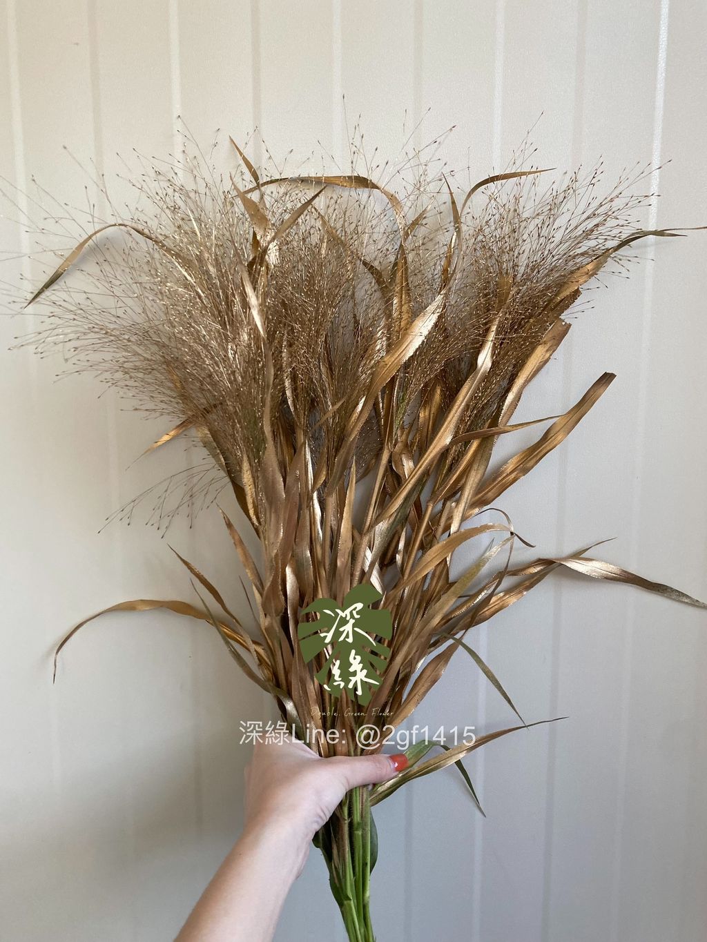 image_27BDEBBA-DBF4-40E2-A48C-A9294E960DB5_1764568398