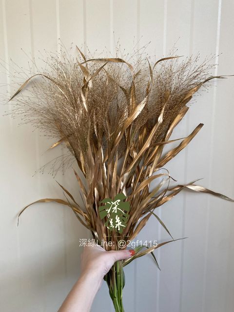 image_27BDEBBA-DBF4-40E2-A48C-A9294E960DB5_1764568398