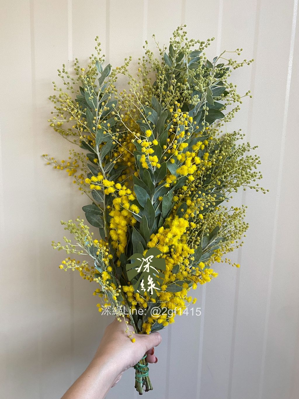 image_FB0DE608-C8C1-45F3-A706-A614AC4D9197_1764568557