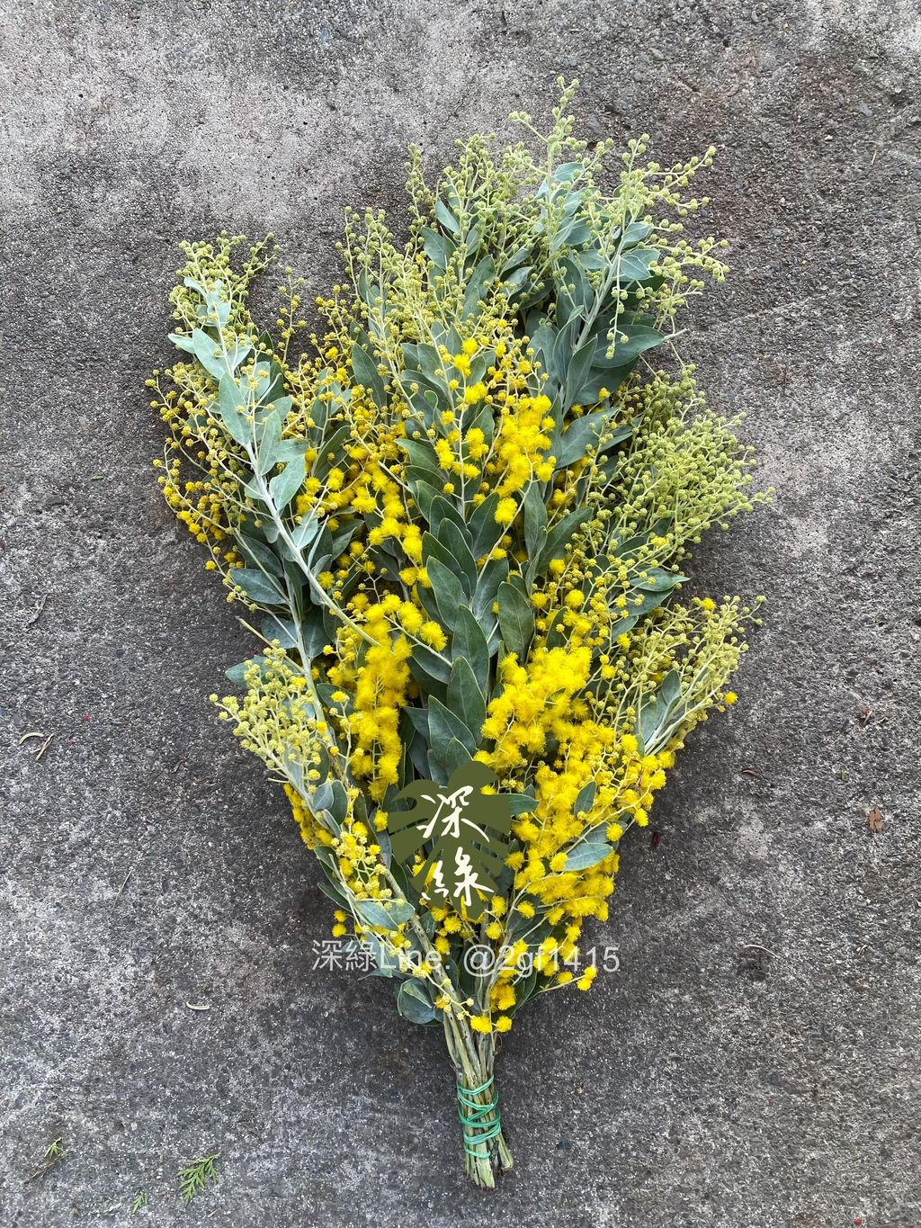 image_BF114DBF-4D4F-4BC2-AD1C-4D1189CB5892_1764568558