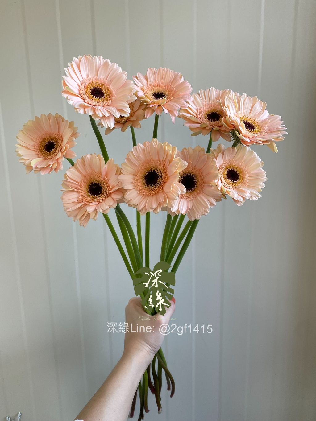 image_E47738D5-38B4-4347-BEE7-7DE253E18248_1764568851