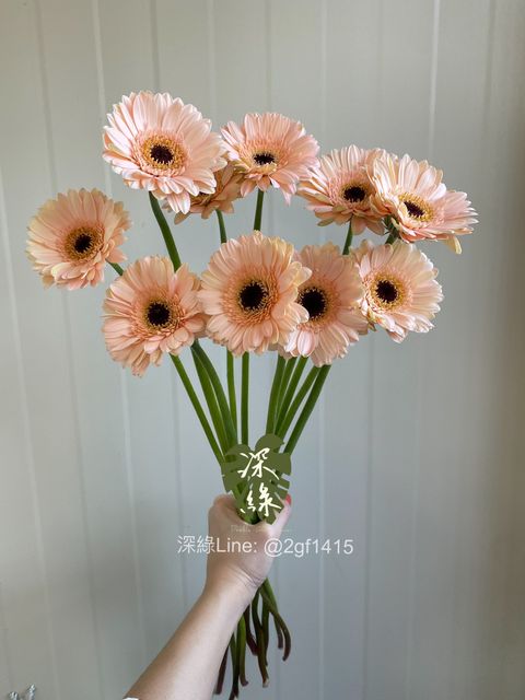 image_E47738D5-38B4-4347-BEE7-7DE253E18248_1764568851