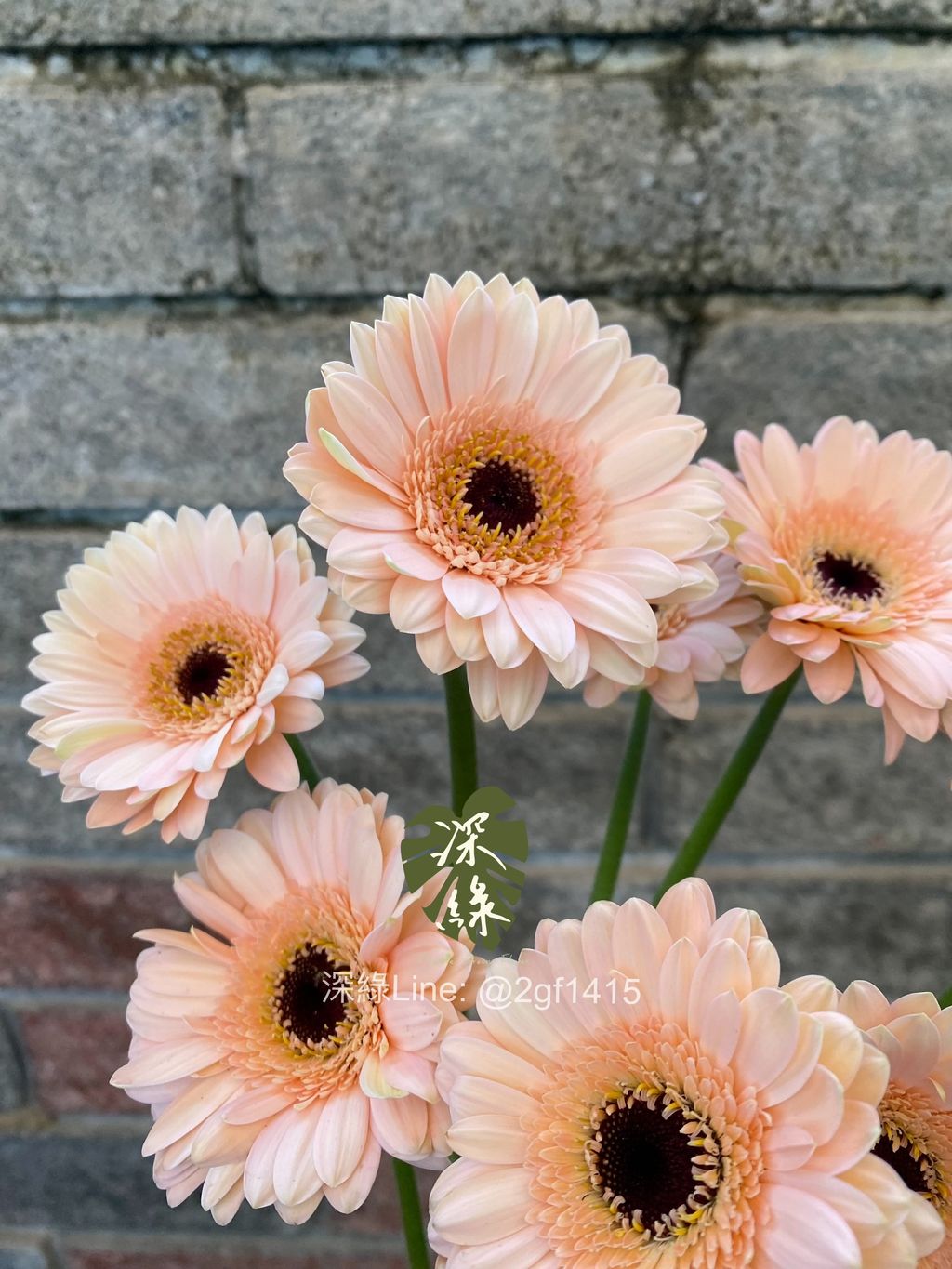 image_9CD86404-3CCA-4C9A-B3BA-40E974F71006_1764568851