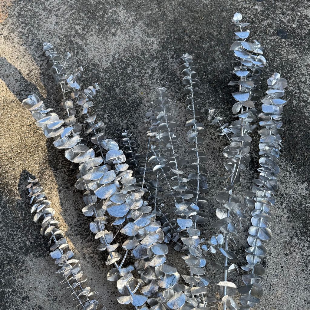 image_801EFB35-4BE3-4430-90E5-78B6F5B4E6C8_1764574606