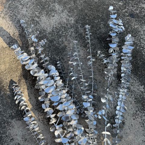 image_801EFB35-4BE3-4430-90E5-78B6F5B4E6C8_1764574606