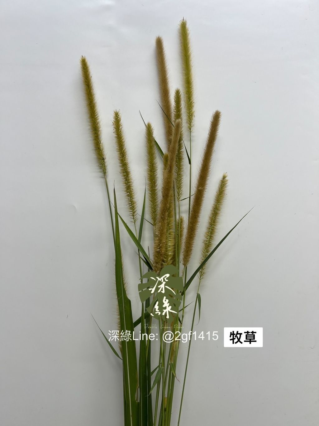 IMG_8535-1701843034745