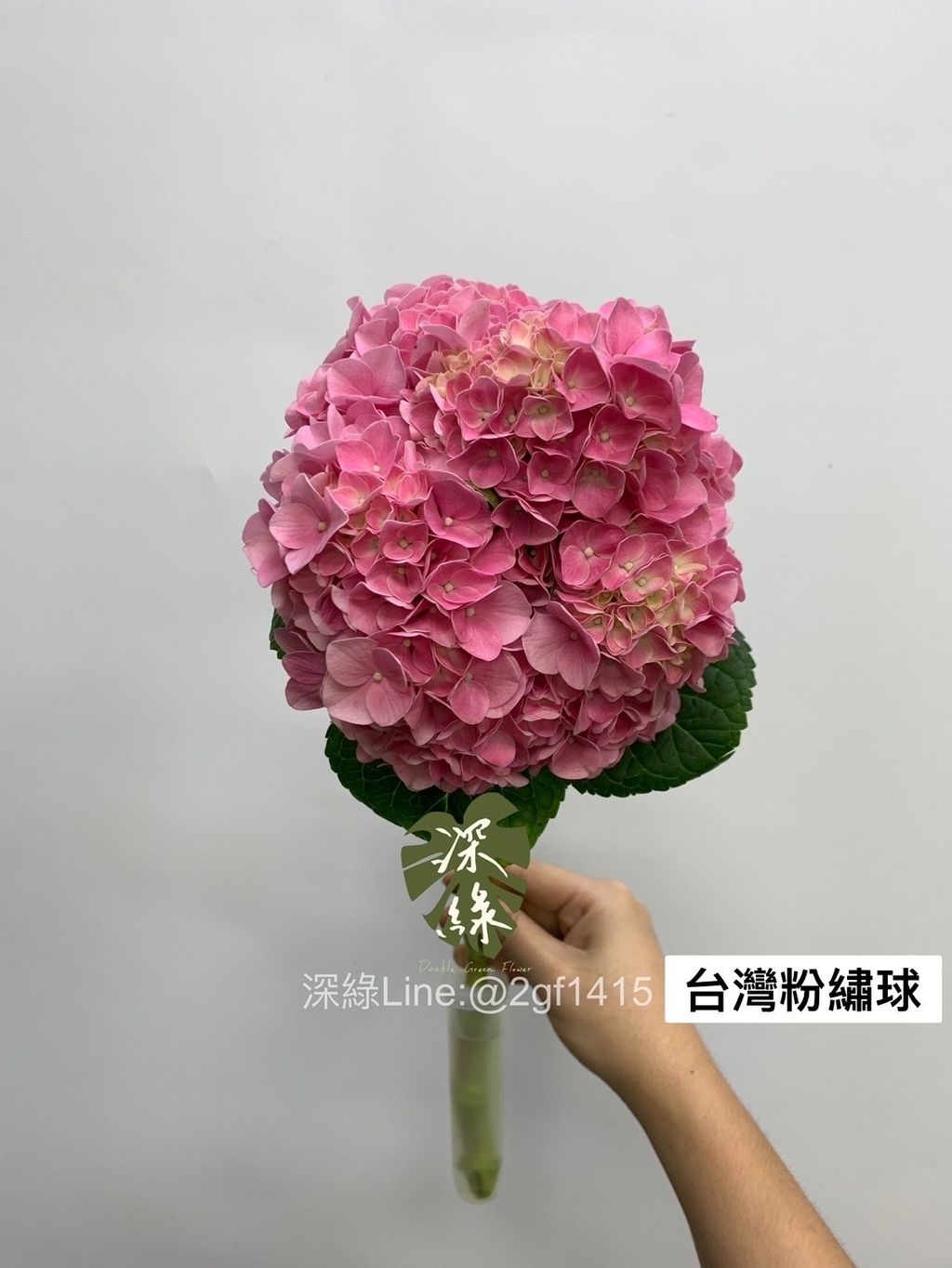 image_8E31A736-D556-42D4-B0E7-D19FFC52CA6B_1764639019