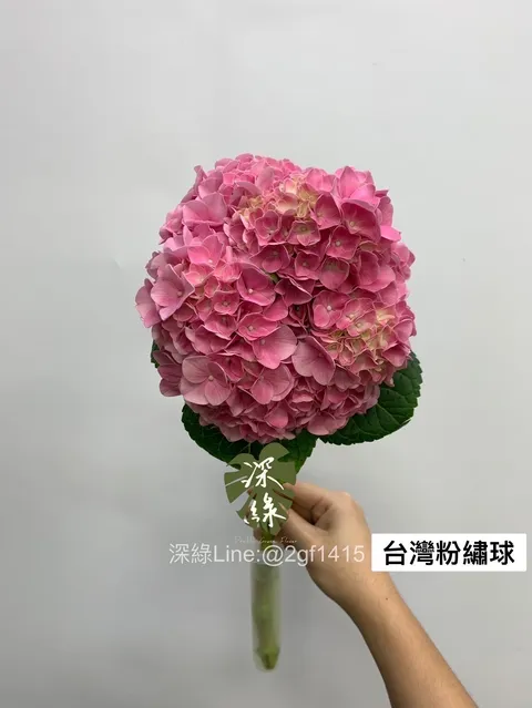 image_8E31A736-D556-42D4-B0E7-D19FFC52CA6B_1764639019