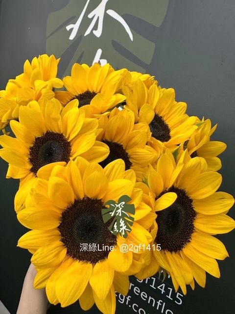 image_0093531C-6010-4F99-A5E0-FC7677F47313_1764648627