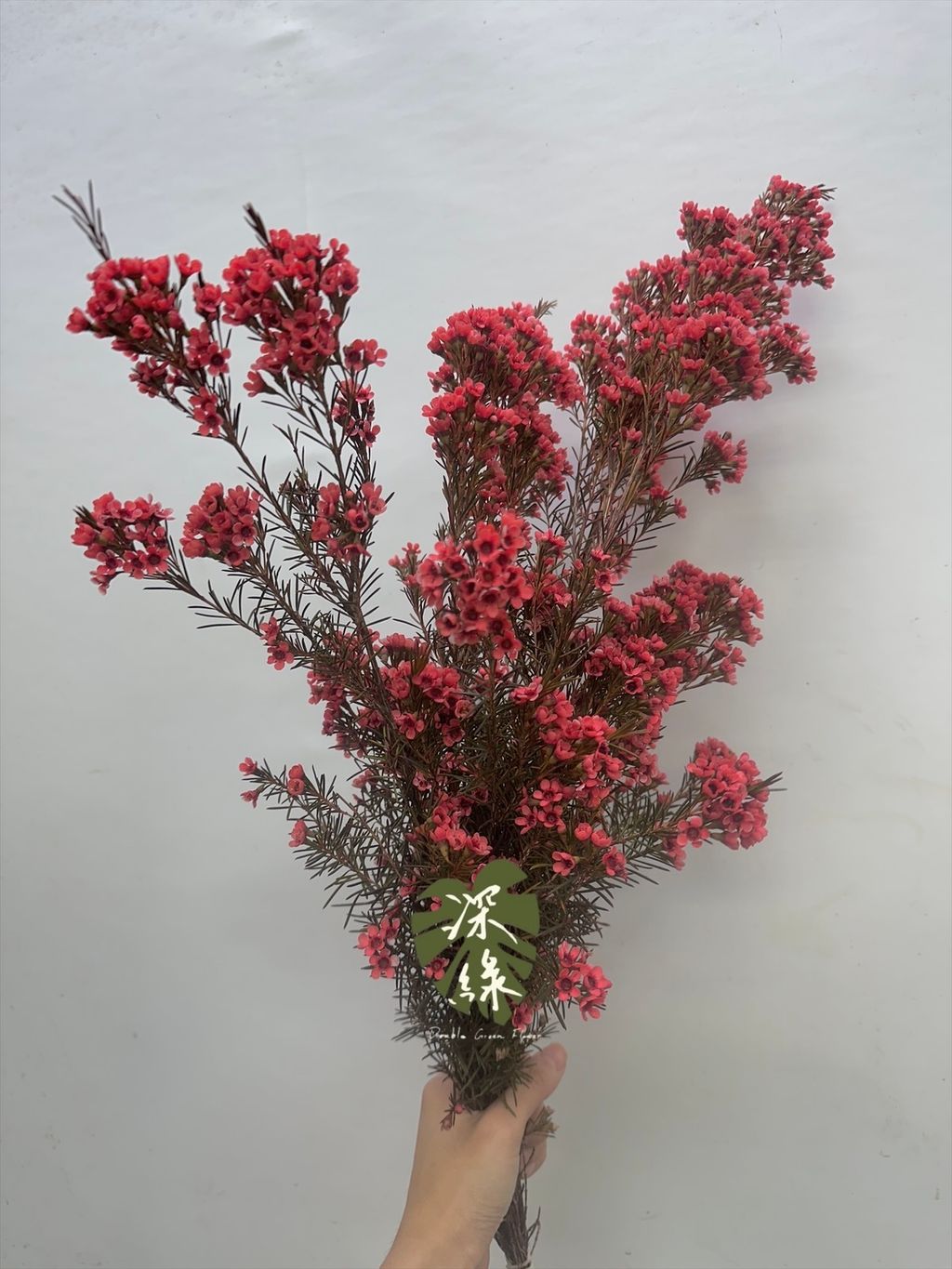 image_D86CC513-1A12-43F8-B088-8ED573693B75_1764564933