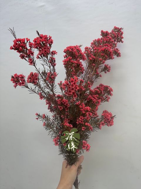 image_D86CC513-1A12-43F8-B088-8ED573693B75_1764564933