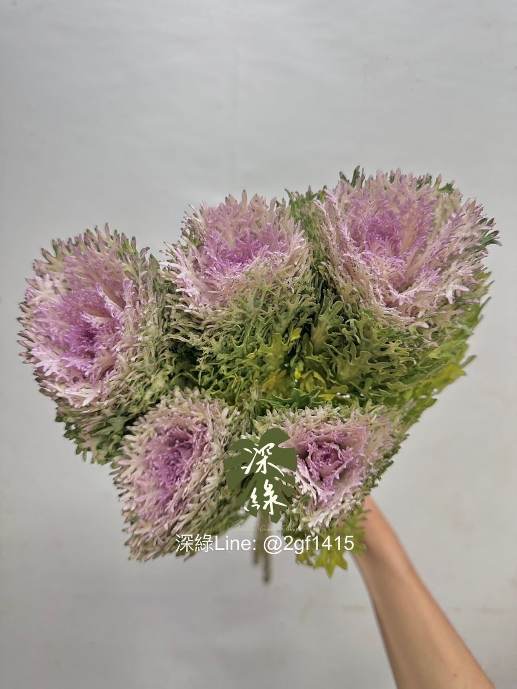 image_9D3F1111-A14F-4AFA-9748-053B772F9D32_1764648685