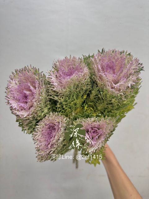 image_9D3F1111-A14F-4AFA-9748-053B772F9D32_1764648685