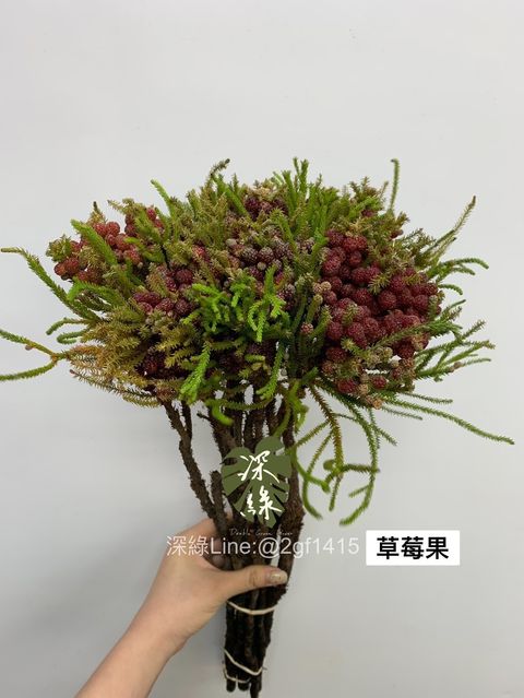 8ABABD94-A35D-42B8-B3C2-5BB452B6C996