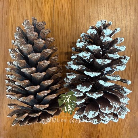 image_7EDA1A90-6467-4B81-A80B-09AF1E59AC79_1764818521