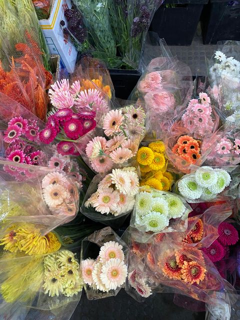 image_CD4927BA-9633-4854-AE11-0F959A77FED7_1764833751