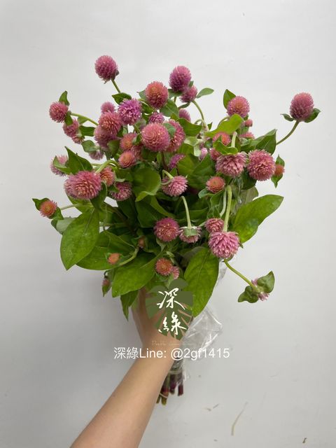 eZy Watermark_15-11-2024_08-45-43-8070上午-1731631557802