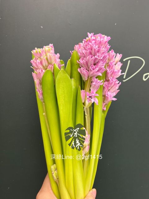 IMG_9981-1727484242441