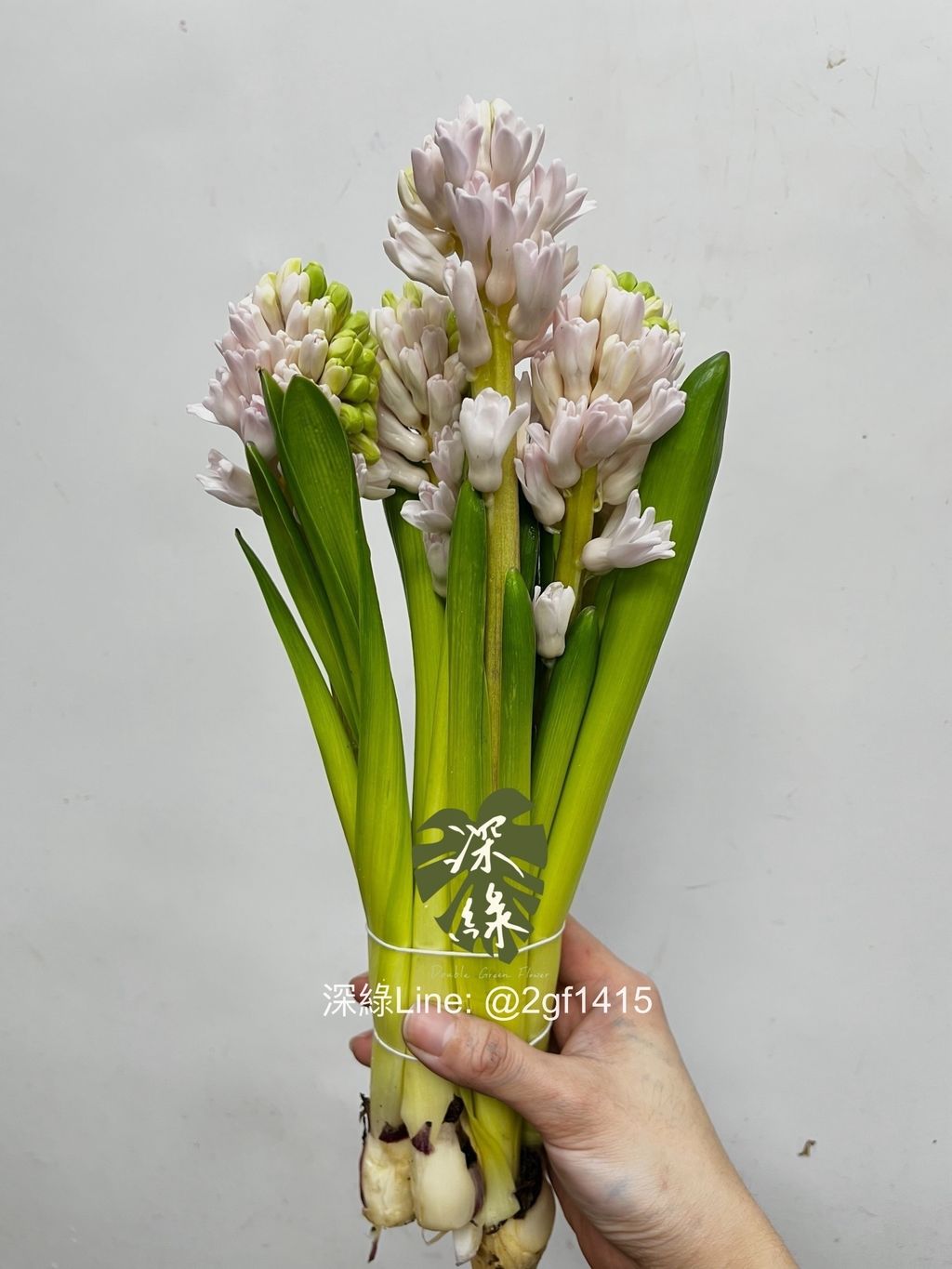 IMG_2125-1735532782449