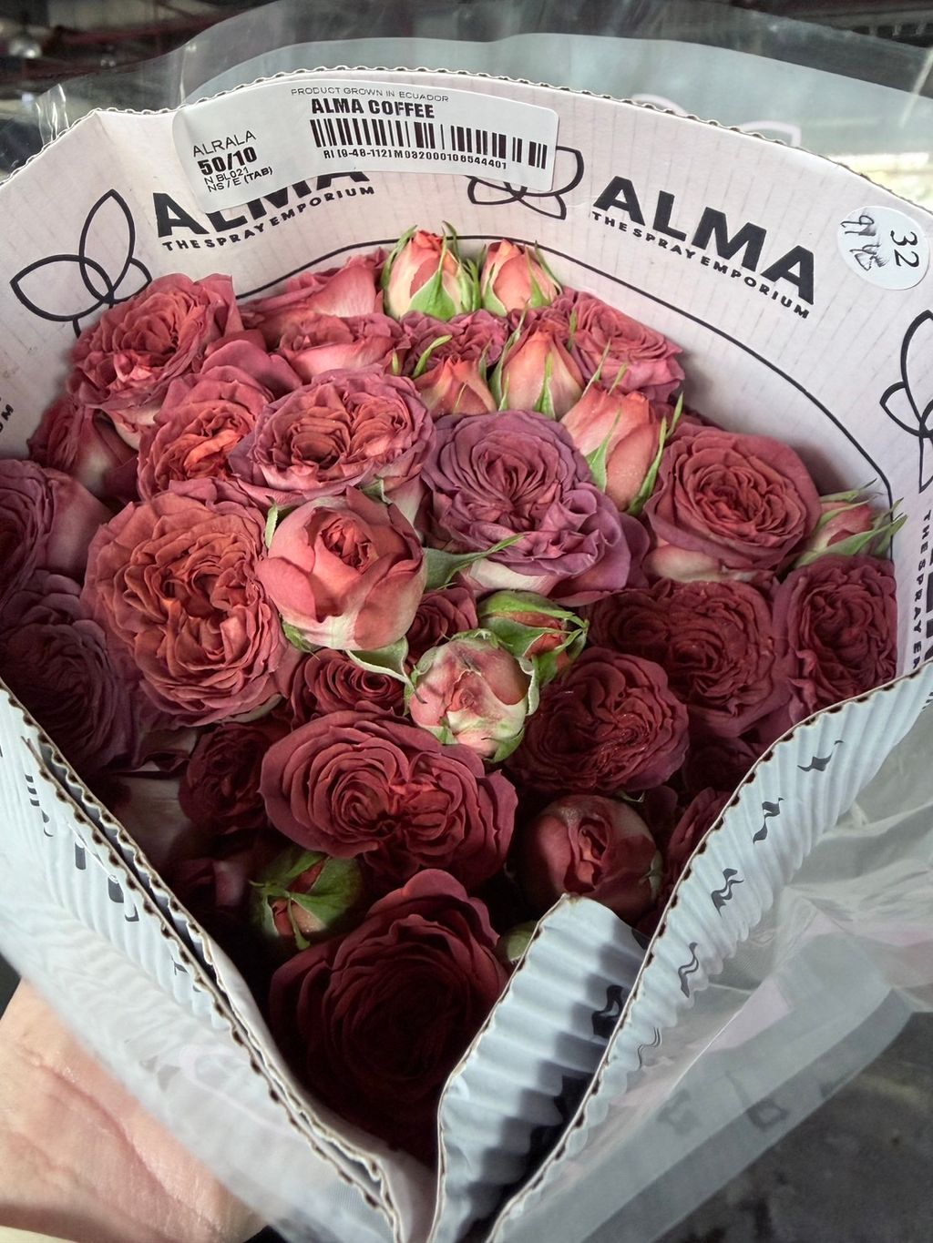 image_F6C71D70-4389-48C7-B14B-B68D214B984B_1765097766