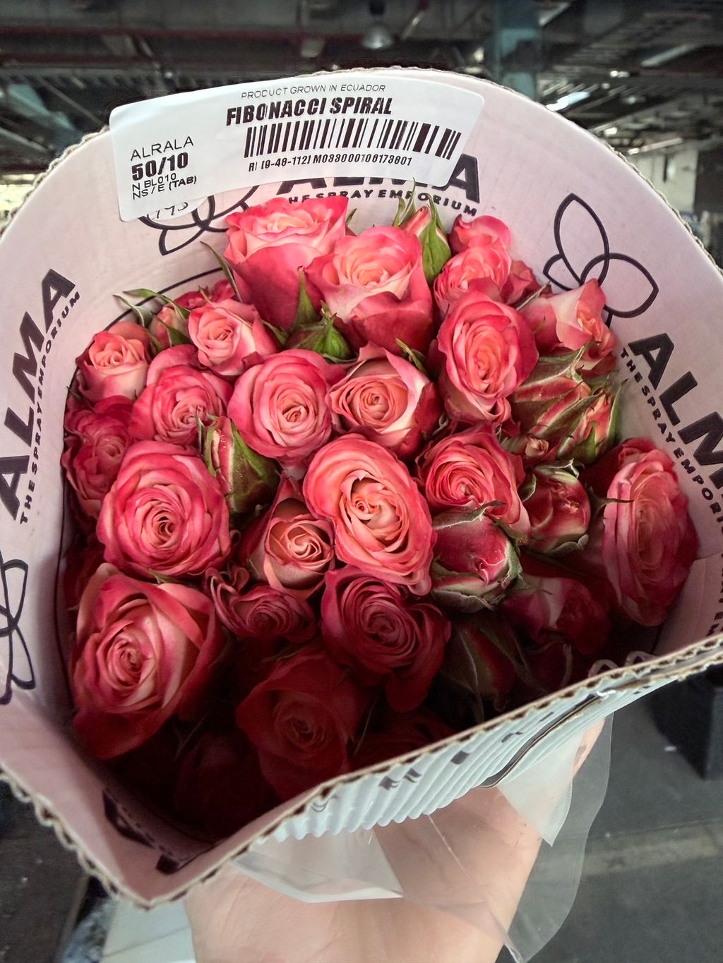 image_DA305509-8832-4837-859B-C86EDA9F2A98_1765097832