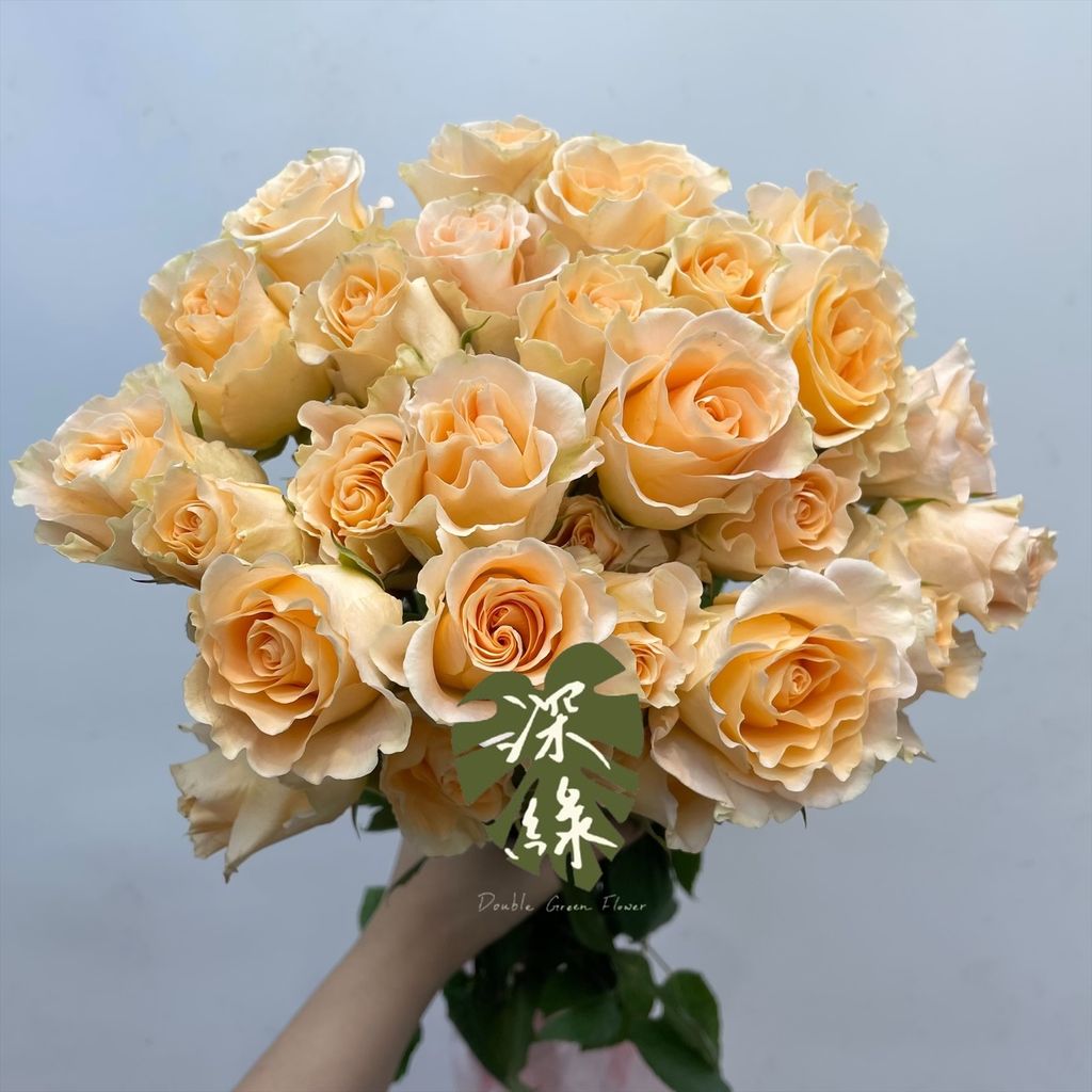 image_7C93BE85-2A63-4D76-9A5C-3BA1B6D8BF73_1765098478