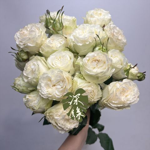 image_A1A5833D-6D4B-4EBA-9F5F-607C62151EDD_1765098508