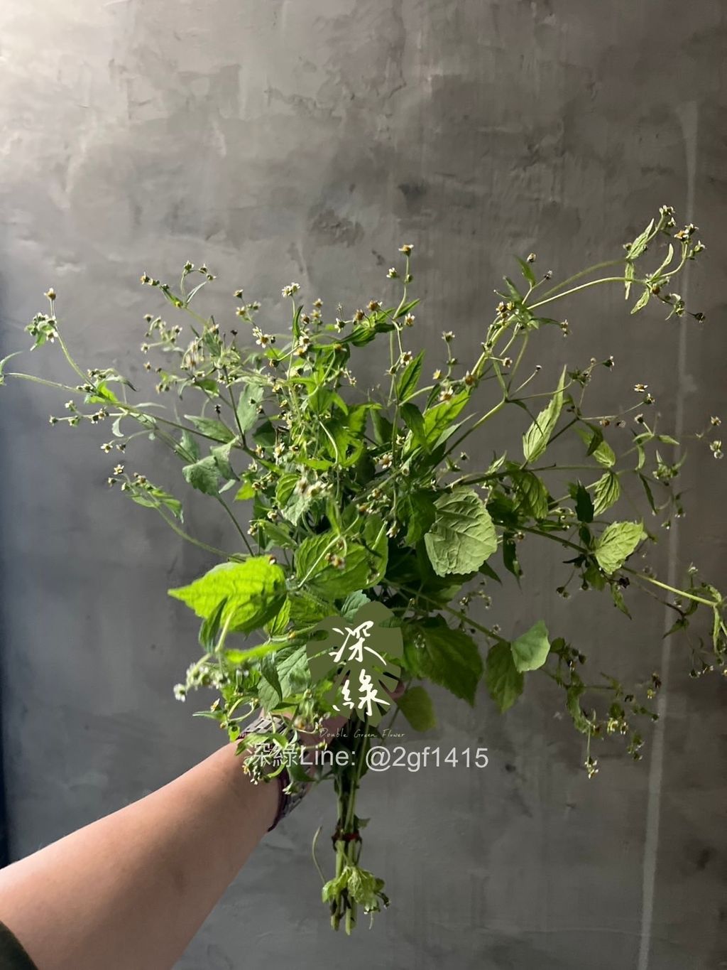 image_66F6BFFA-64C6-4D14-A0A2-70396E6EB4B0_1765099831