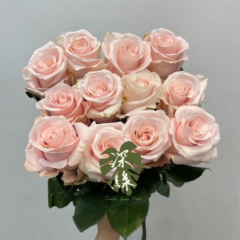 image_A9636219-4622-4BC5-85D2-5125CF105EF5_1765106344