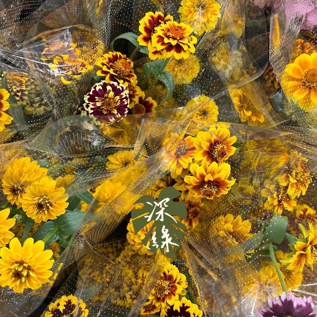 image_1730EB20-4915-4F72-8AB7-CFC7D07117C4_1765167941