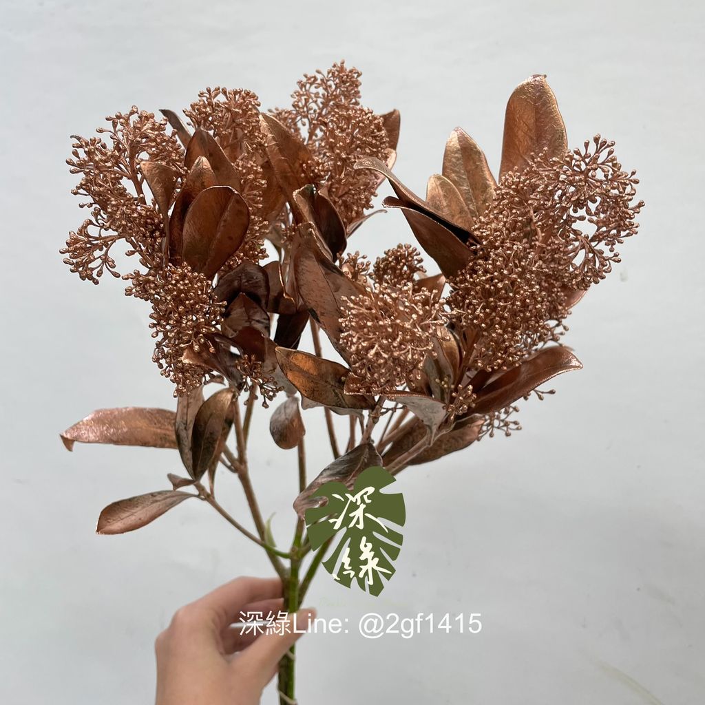 image_175D88BD-7E4C-4B40-AA76-BC62153C78B4_1765341988