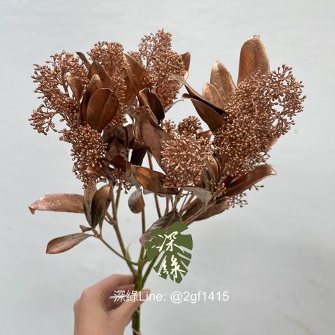 image_175D88BD-7E4C-4B40-AA76-BC62153C78B4_1765341988