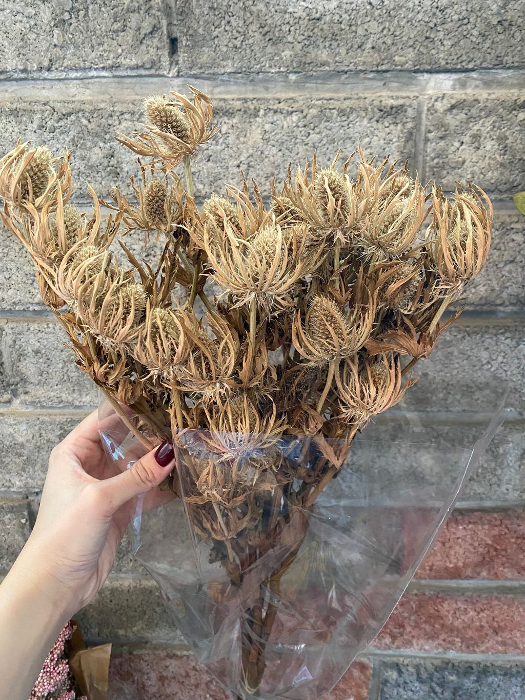 image_A026E7DE-592F-4AB1-BFF8-A73C8507E5D7_1765351231