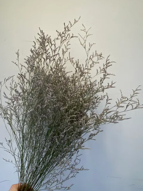 image_F19D8C99-A638-4A03-8695-043E3099B6D4_1765372022