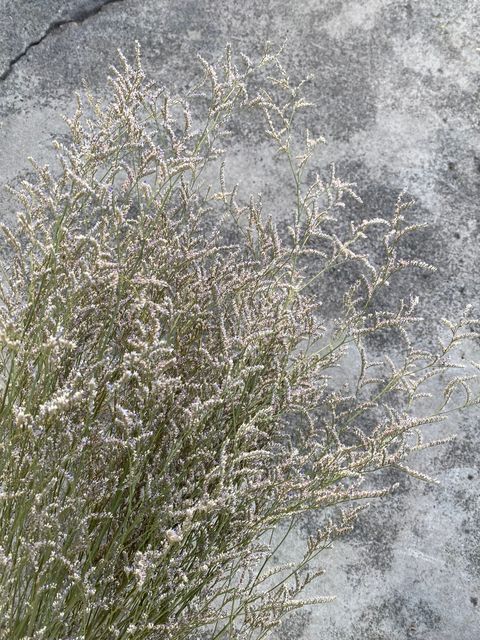 image_DEFFBE69-EBC1-4BD2-806D-B2A99433573A_1765372023