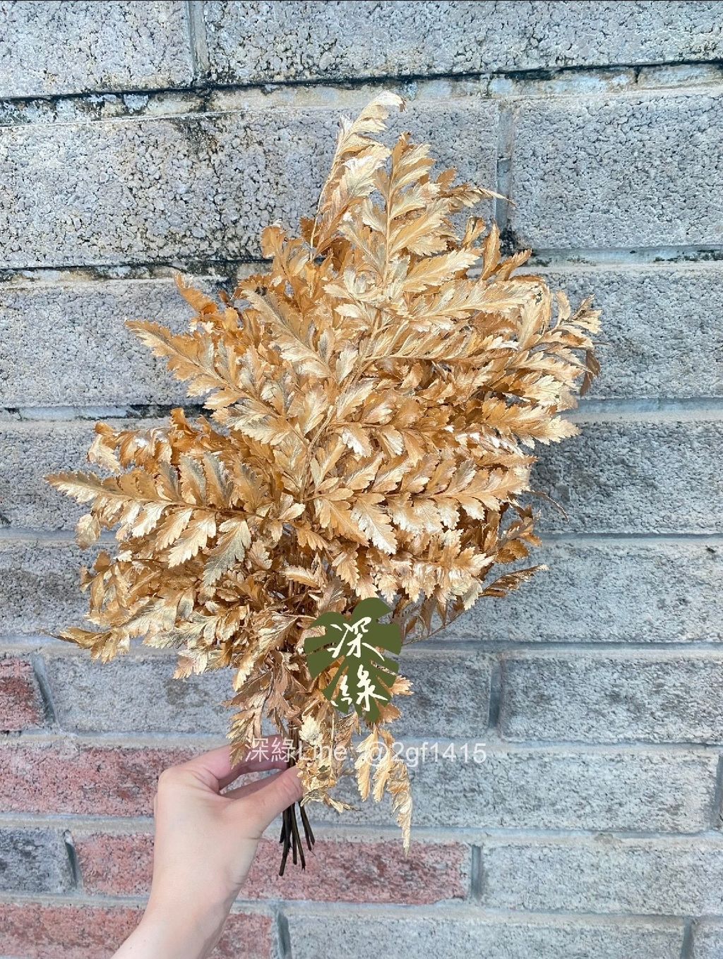 image_851CFDF9-5D8A-400B-960F-E668CB2CB04C_1765683494