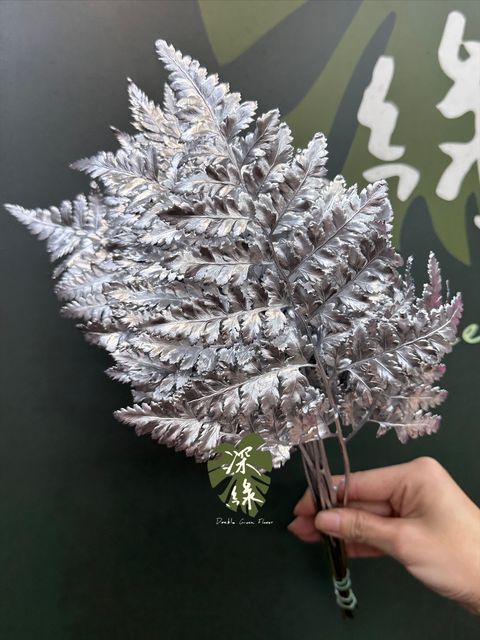 image_142E7F13-A14D-4B82-99EF-85498065F32D_1765683550