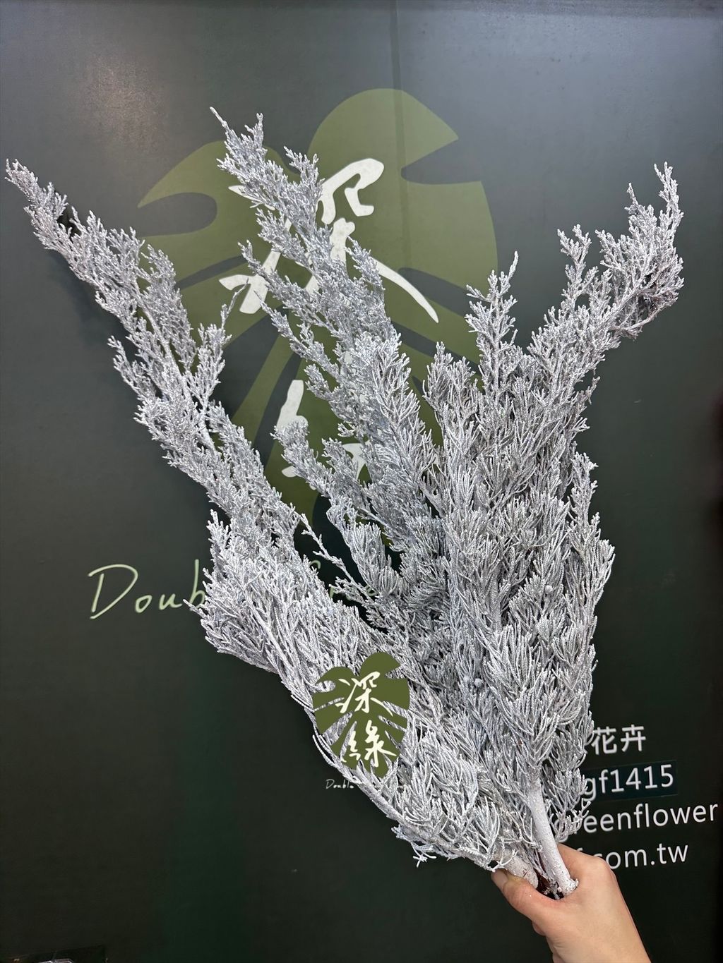 image_BA3A336E-7557-4863-A0F4-307A72E25AC8_1765683823