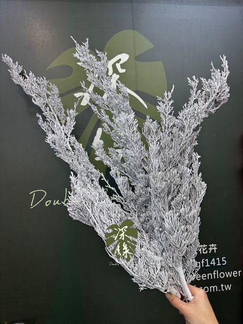 image_BA3A336E-7557-4863-A0F4-307A72E25AC8_1765683823