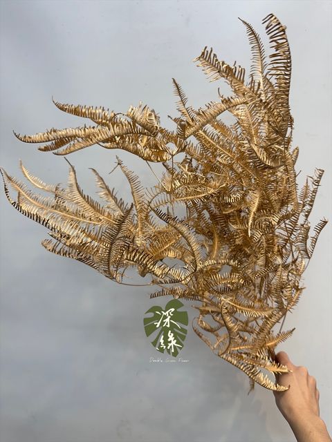 image_76B3A52E-E725-4437-9E71-2BABAC3DF869_1765683853