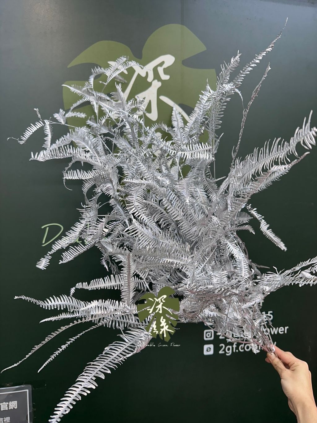 image_C982B2D1-6B0D-4C8B-9FD1-DD81DFC101DE_1765683904