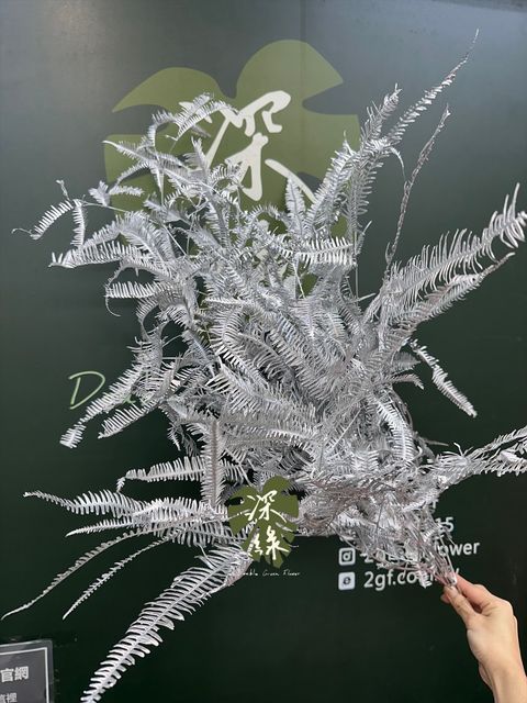 image_C982B2D1-6B0D-4C8B-9FD1-DD81DFC101DE_1765683904