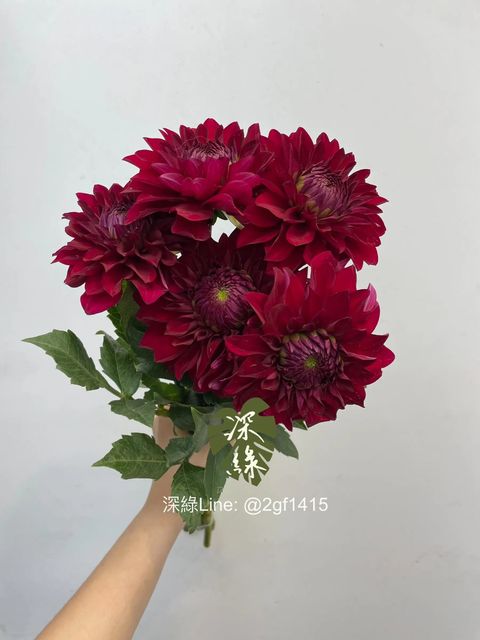 messageImage_1765683931404