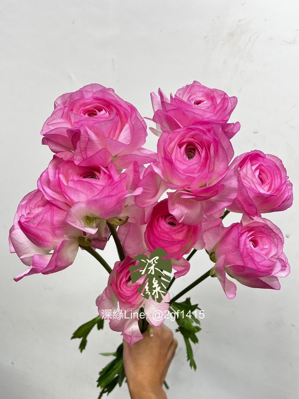 IMG_1743-1734496004086