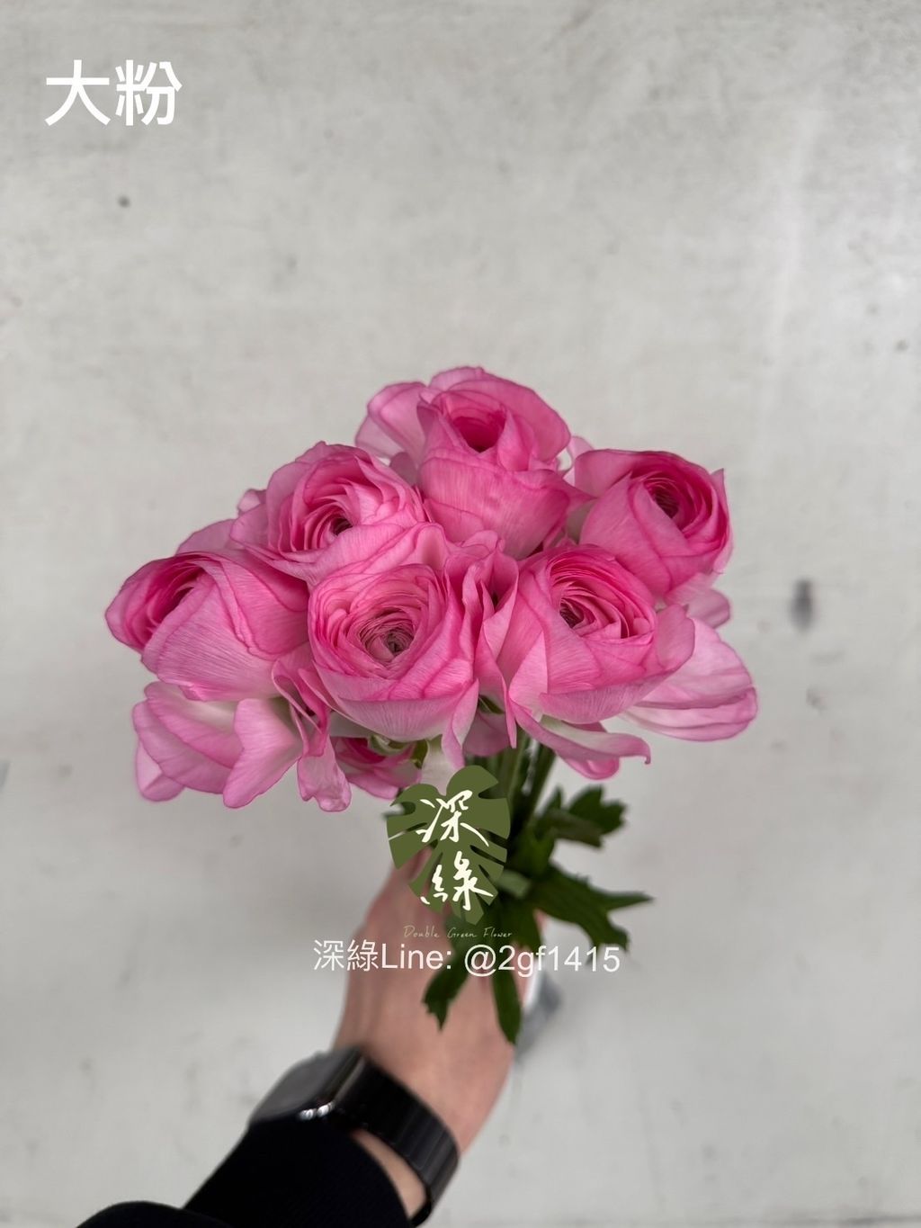 eZy Watermark_15-12-2024_01-58-38-5300下午-1734247999480