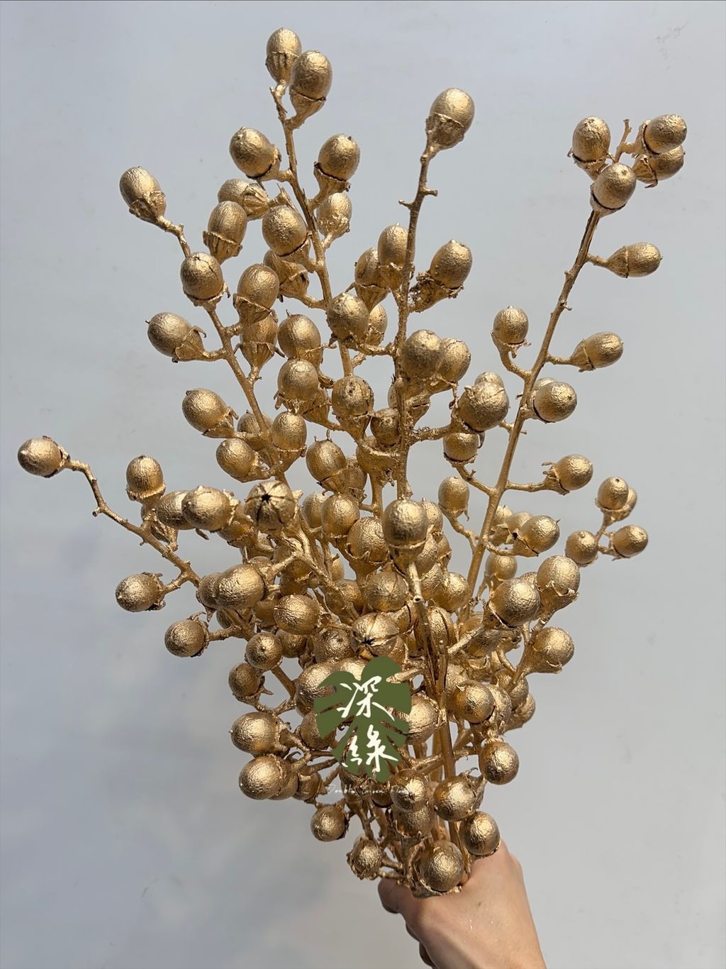 image_65094359-DF10-44DB-8464-F329767E1269_1765684083